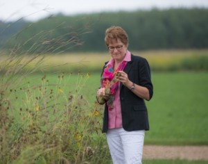 Katherine L. Gross stands near a field, examining the seed head of a flower.