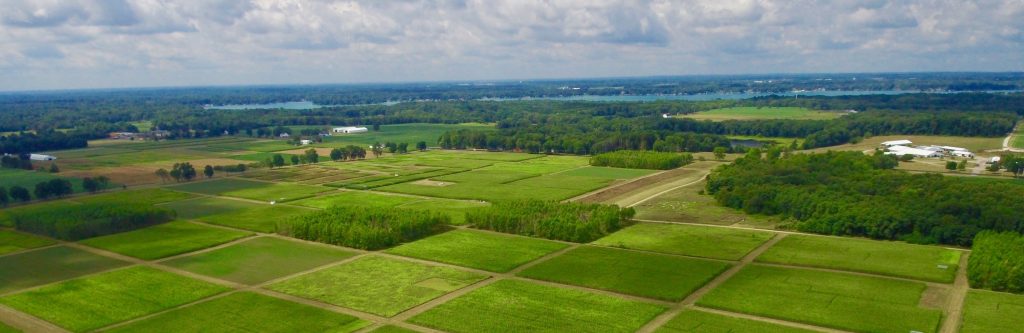 Aerial view of rows of square agricultural research plots at the W.K. Kellogg Biological Station.