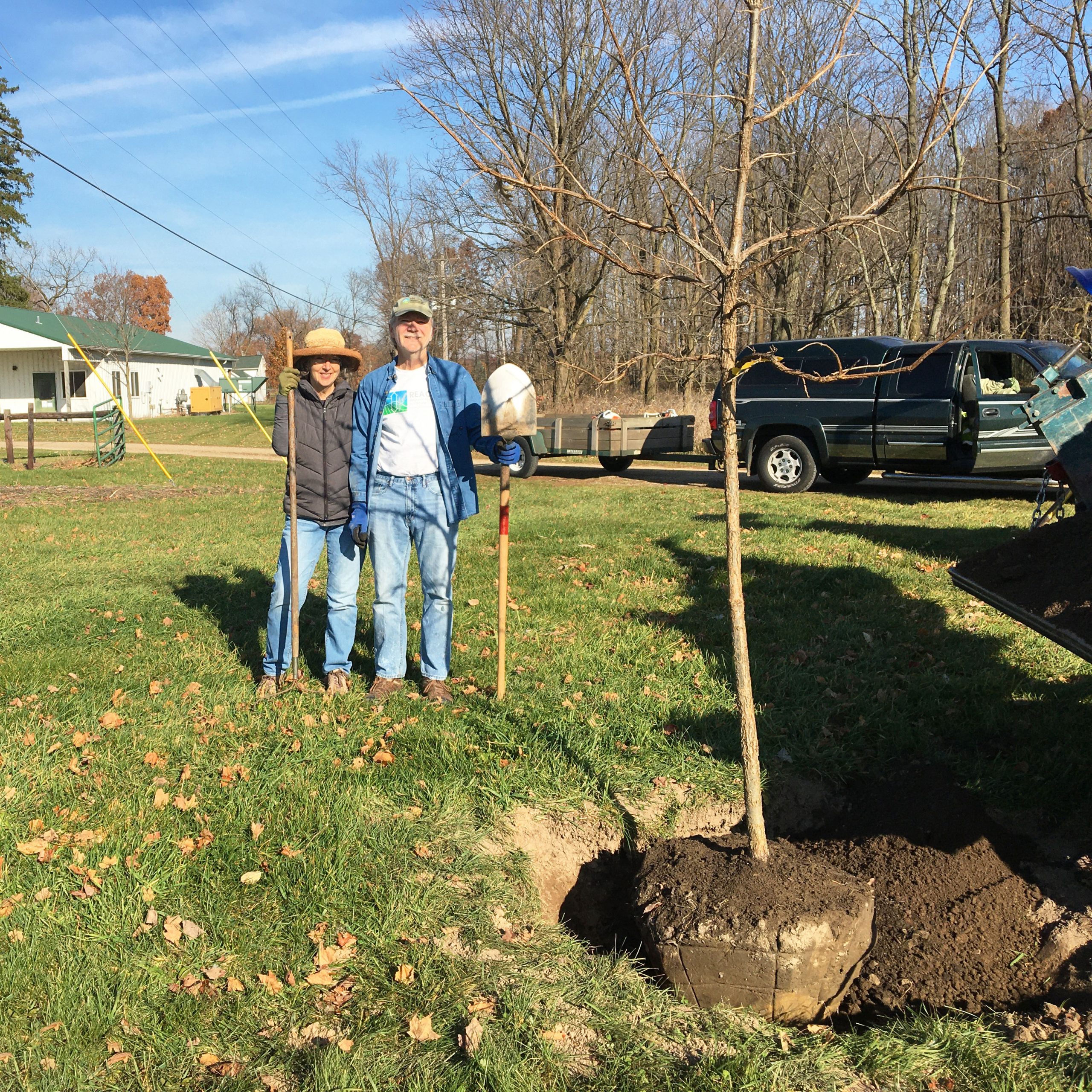 robertson-planting-harwood-tree-square