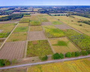 Aerial view of rows of square research plots at the KBS Long-term Ecological Research program site.
