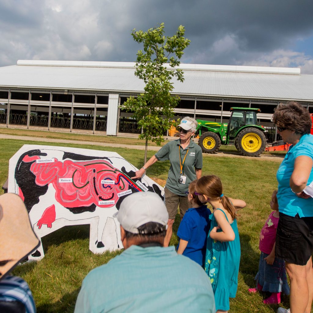 A KBS staffer shows onlookers a diagram of a cow's digestive system.