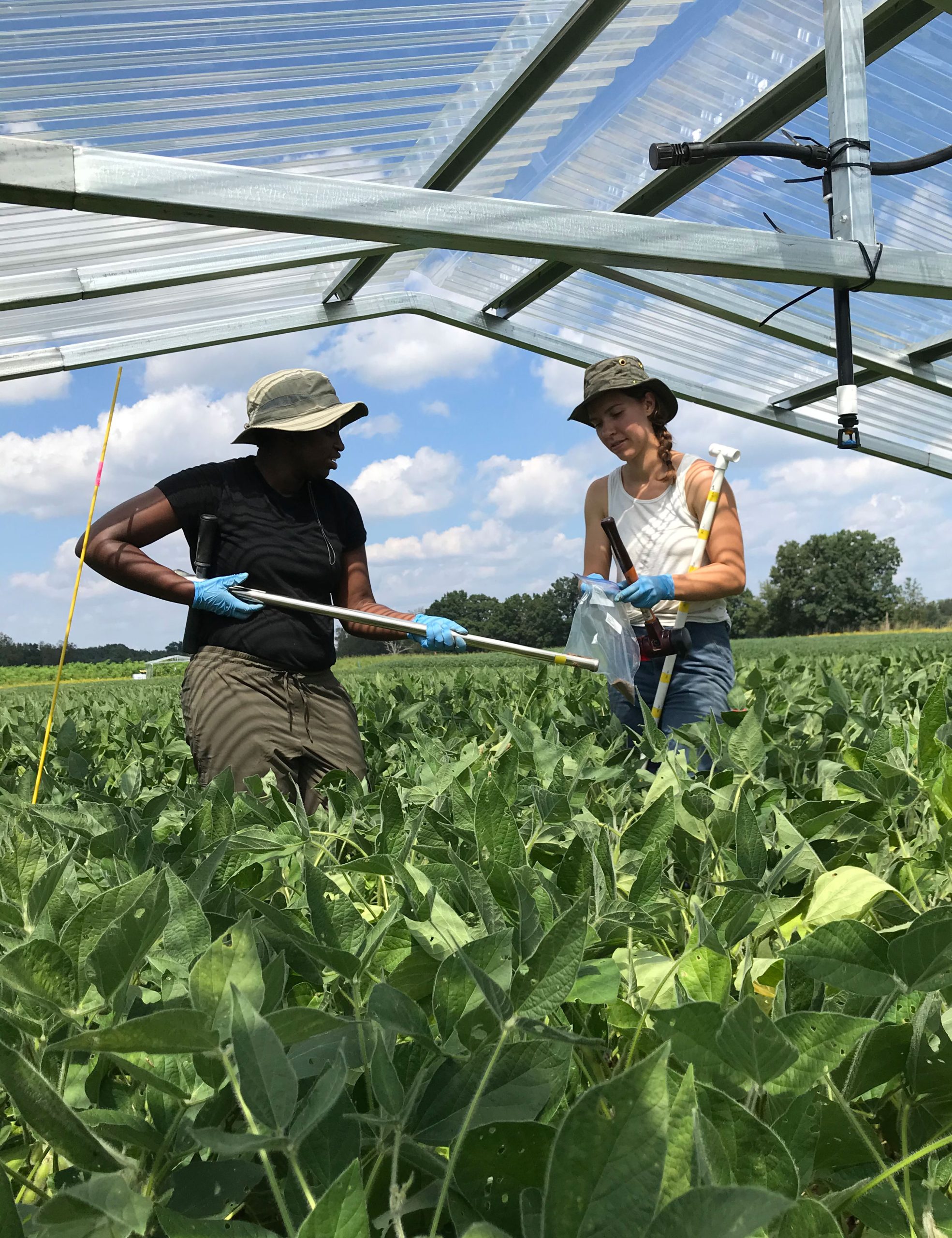 Chemical Engineering Students Excursion to PT. Darmex Agro – Swiss