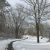 A snowy view of a portion of the W.K. Kellogg Bird Sanctuary's Paved Path.